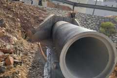 IMG-20240810-WA0049