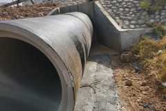IMG-20240810-WA0050